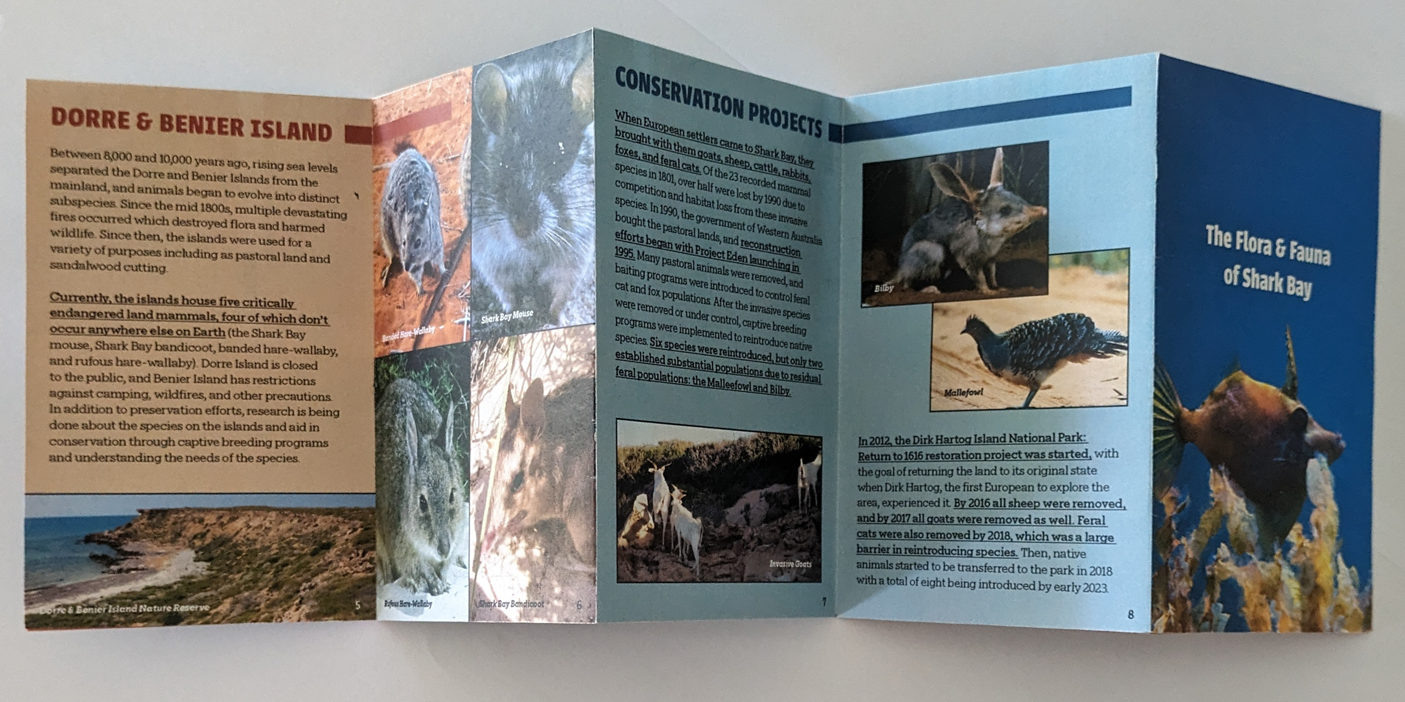 Biology zine back