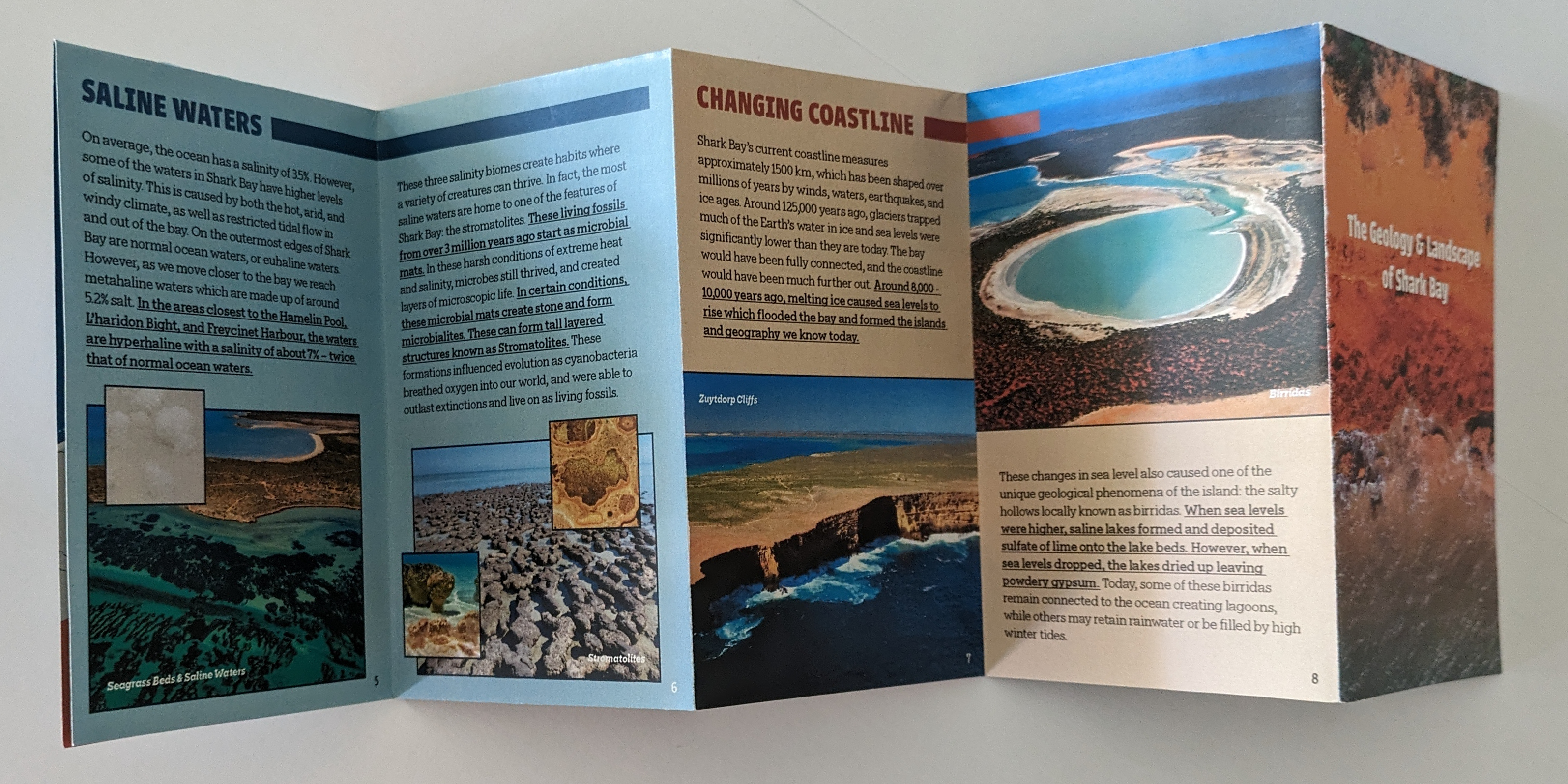 Geology zine back